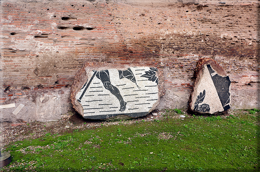 foto Terme di Caracalla